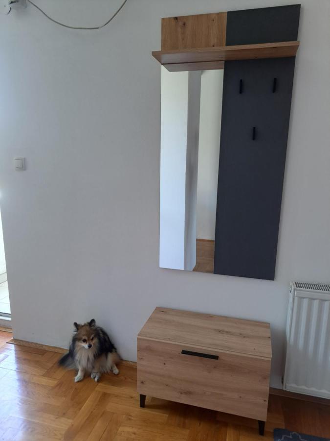 Apartman Zvezdica -Smederevo, Netflix Semêndria Exterior foto