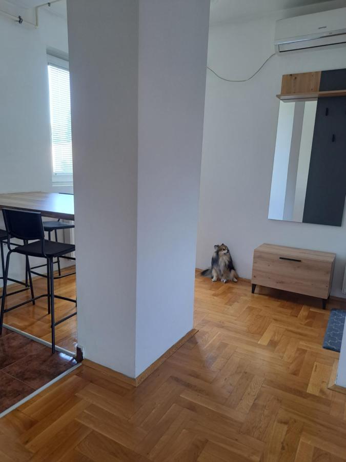 Apartman Zvezdica -Smederevo, Netflix Semêndria Exterior foto